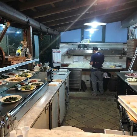 The Patrick 卡塔尼亚