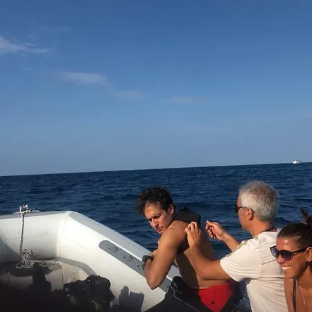 The Patrick 度假居