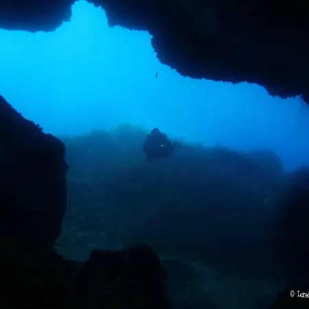 The Patrick קטאניה