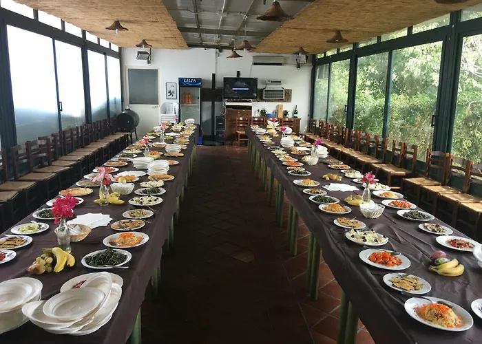 بيت للعطل The Patrick