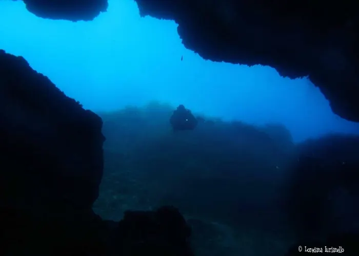 The Patrick كاتانيا